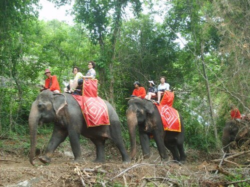 Elephant ride in Thailand. Transfer