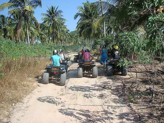 Quad Bikes Ride. Transfer